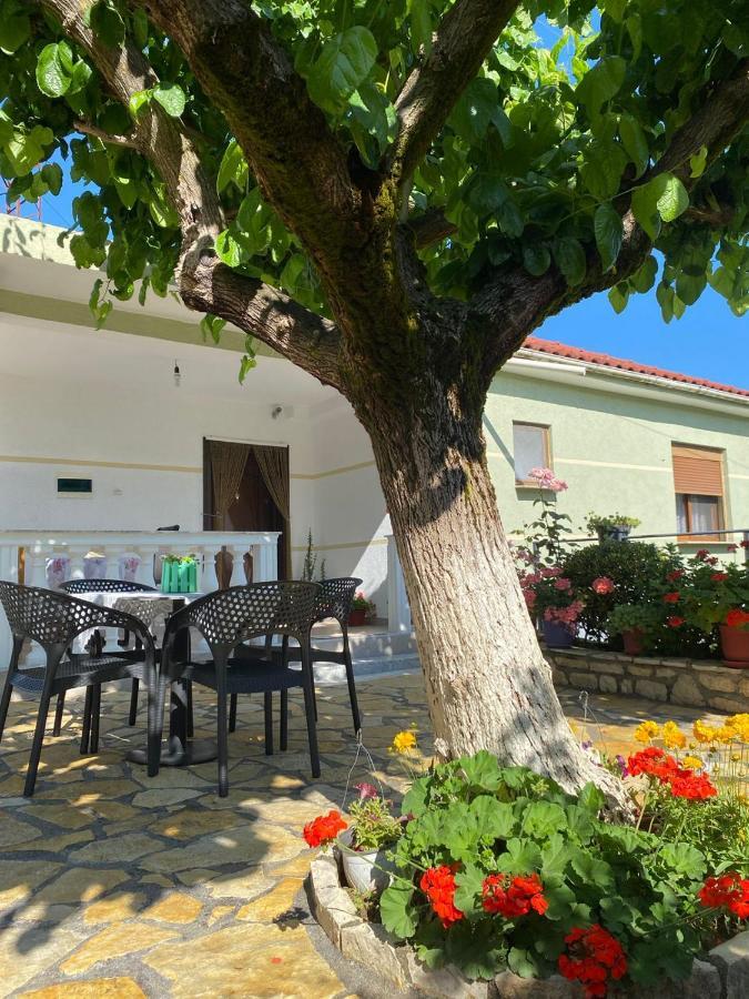 Memaliaj Vjosa Guest House מראה חיצוני תמונה