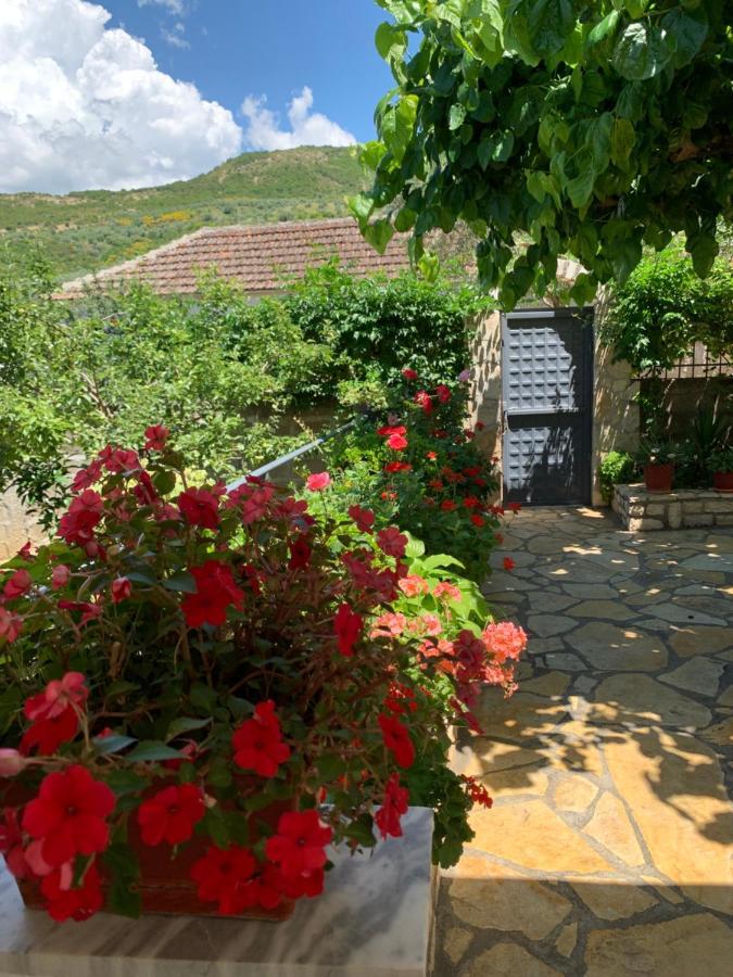 Memaliaj Vjosa Guest House מראה חיצוני תמונה