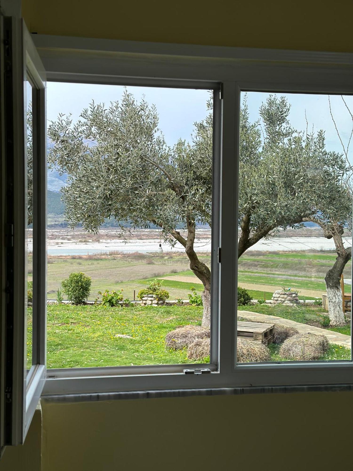 Memaliaj Vjosa Guest House מראה חיצוני תמונה