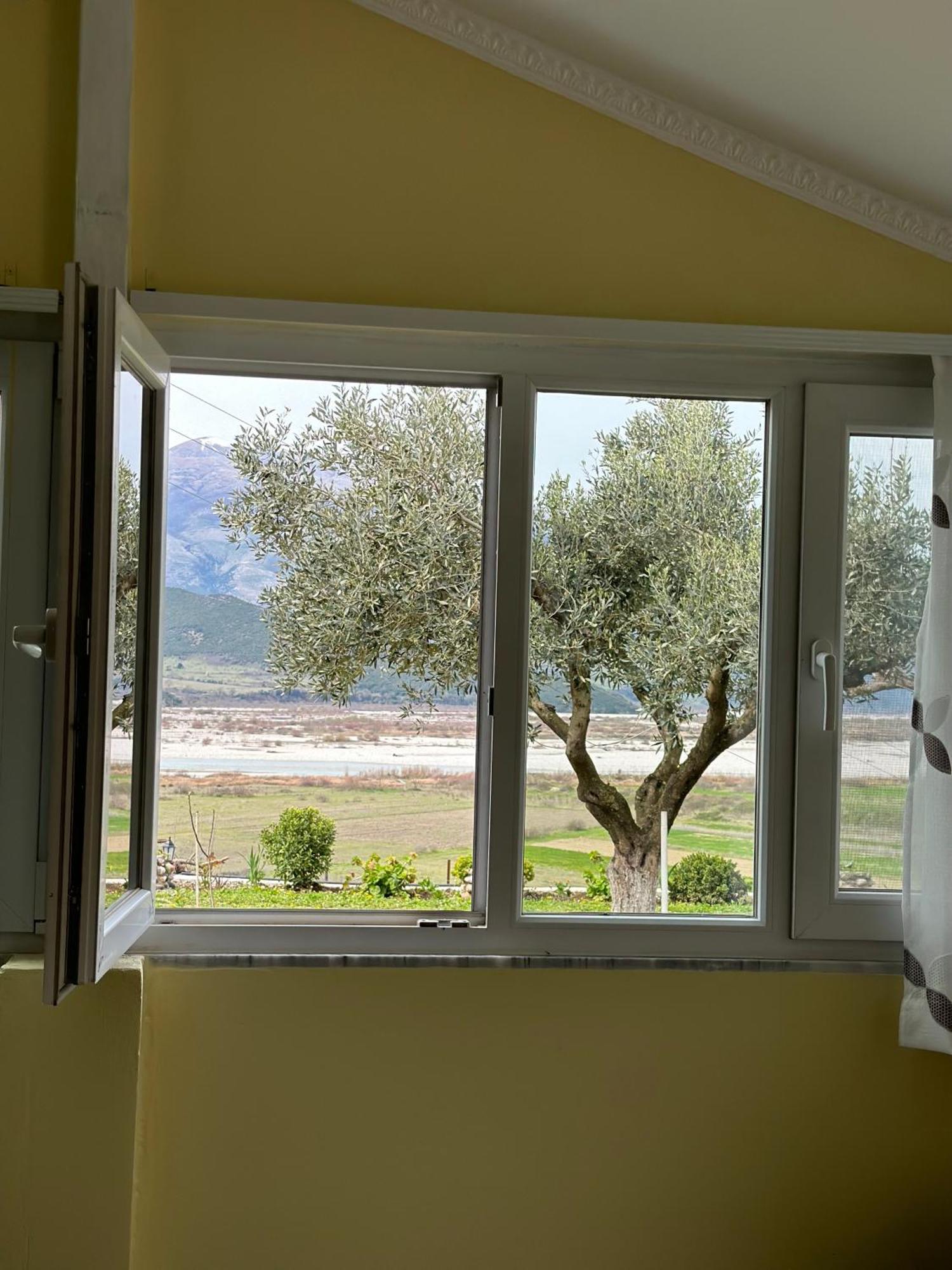 Memaliaj Vjosa Guest House מראה חיצוני תמונה