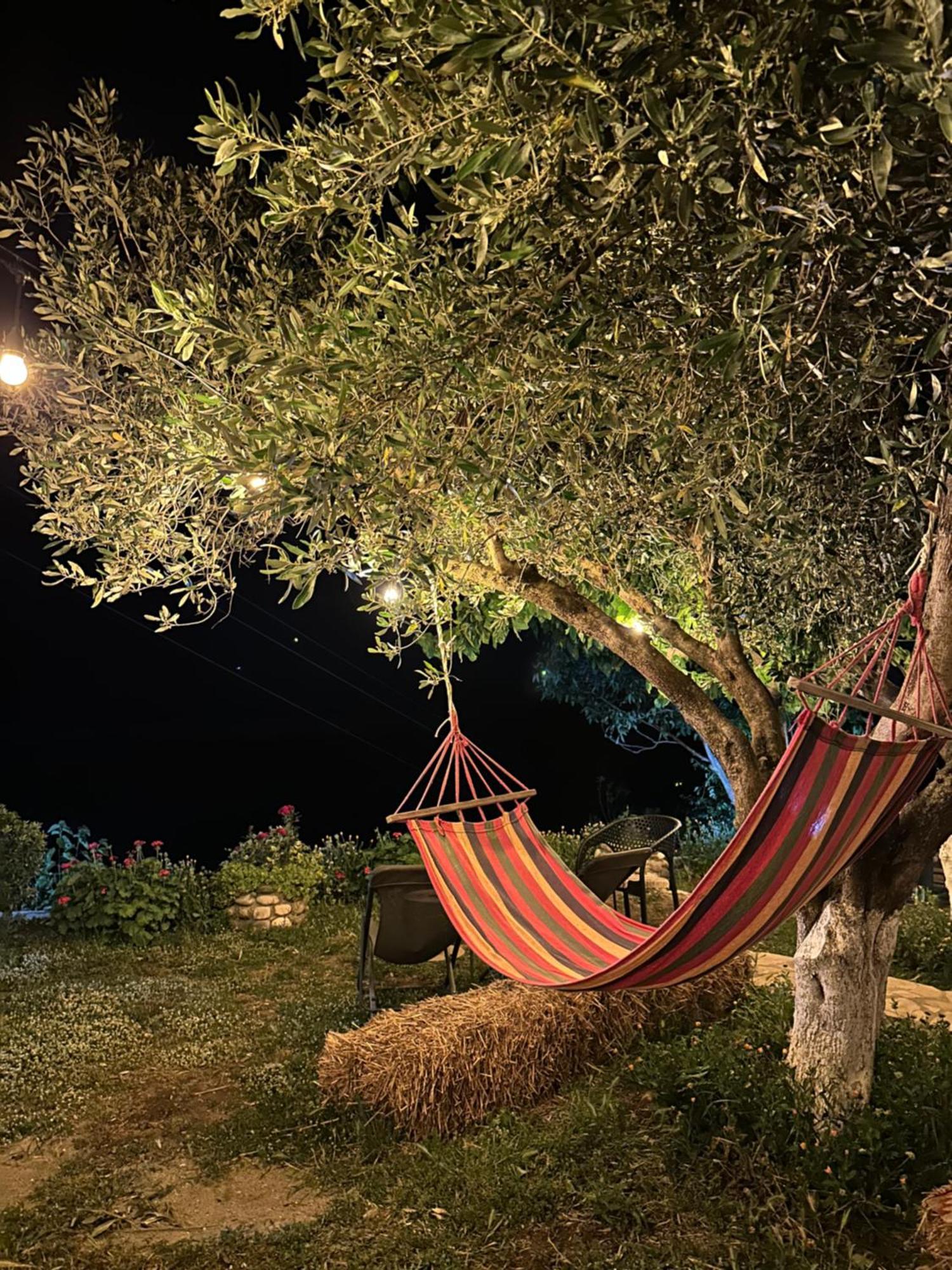 Memaliaj Vjosa Guest House מראה חיצוני תמונה